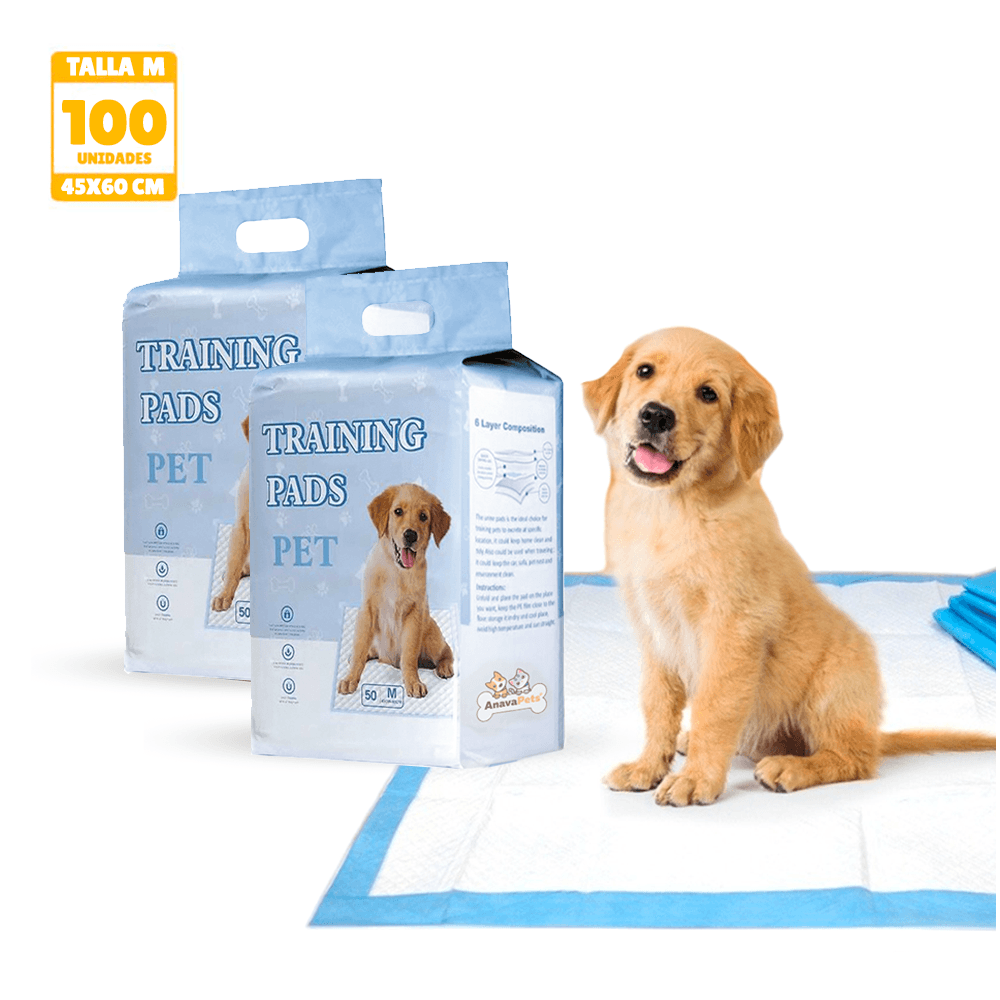 image-56f0eaf611f34a8683e188abb7d98c44 image-56f0eaf611f34a8683e188abb7d98c44