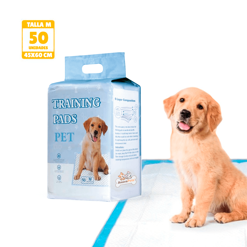 image-6329ea6b15ae4df3998c097298f753f1 image-6329ea6b15ae4df3998c097298f753f1