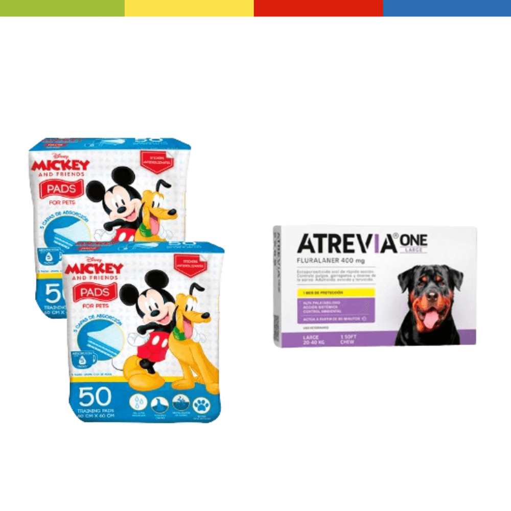 image-b7c6bc632f044072b9a2b63aba61e357 image-b7c6bc632f044072b9a2b63aba61e357