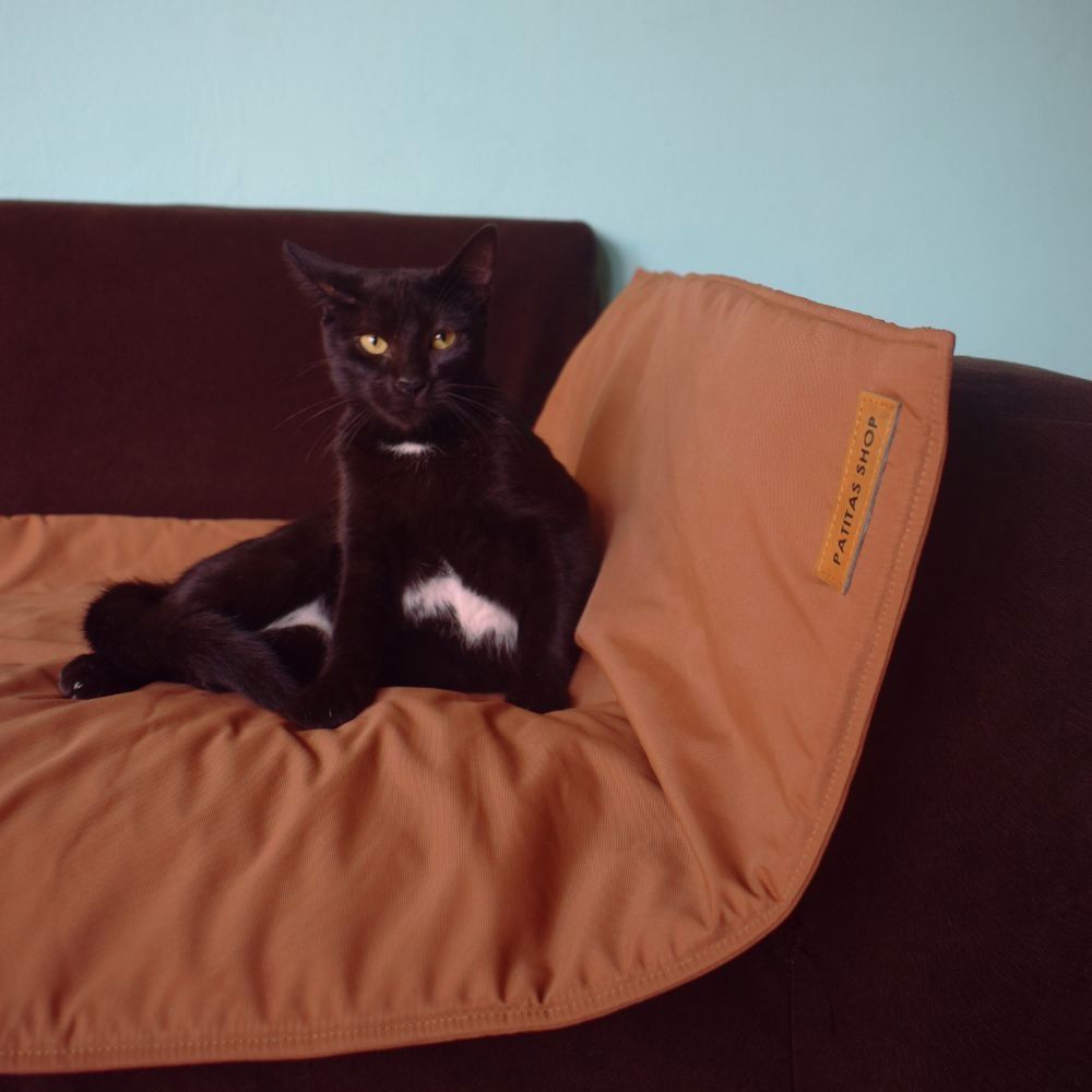 image-a09c91a6e49f4db1951f8f4590dd2608 image-a09c91a6e49f4db1951f8f4590dd2608