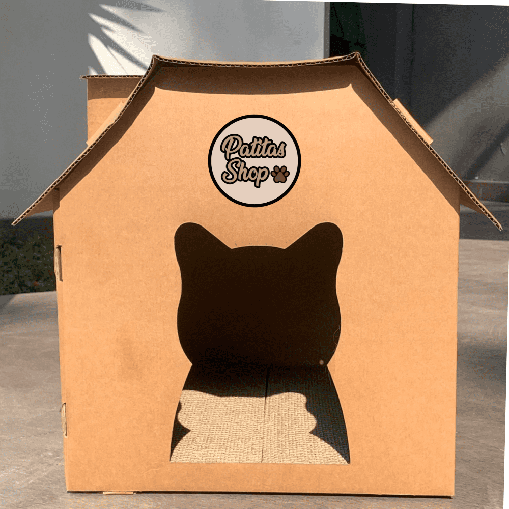 image-ff4cd56a2ca94dfcaaa01cad7b569688 image-ff4cd56a2ca94dfcaaa01cad7b569688