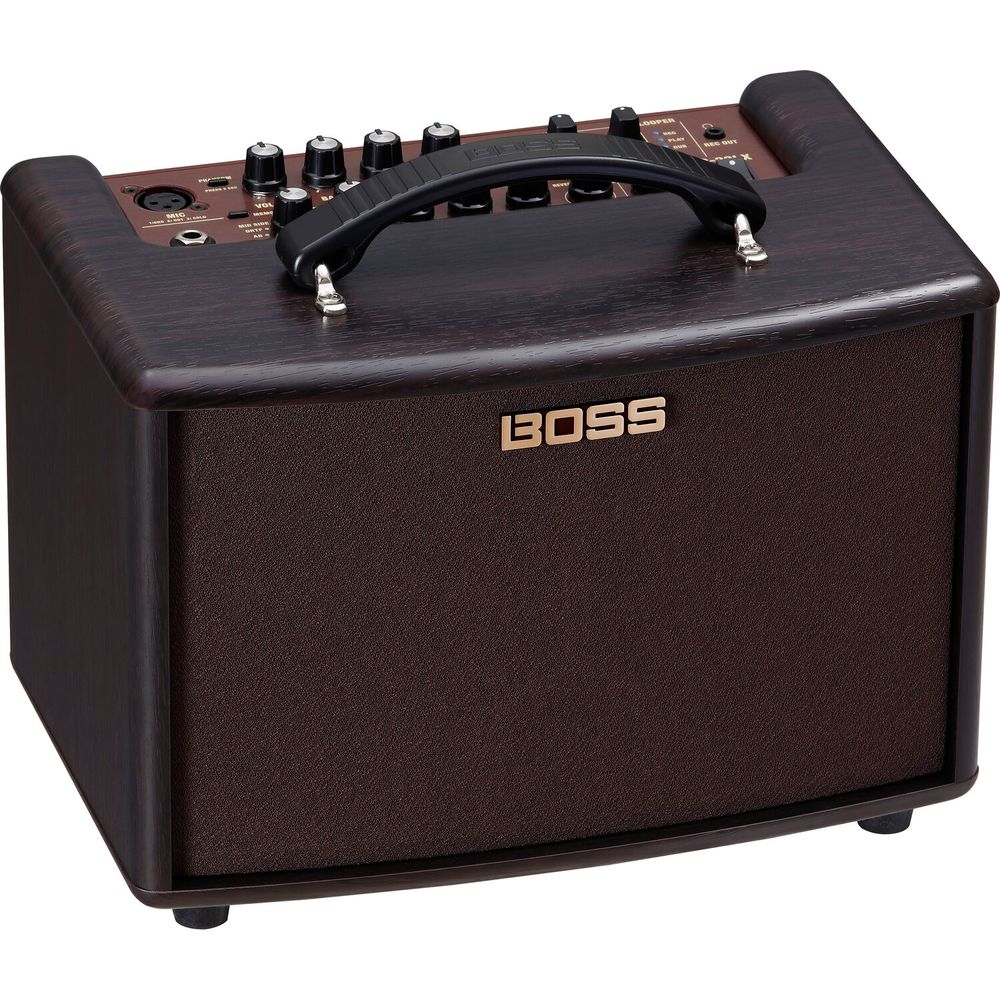 Amplificador Combo Estéreo Acústico Eléctrico Boss Ac 22Lx 10W