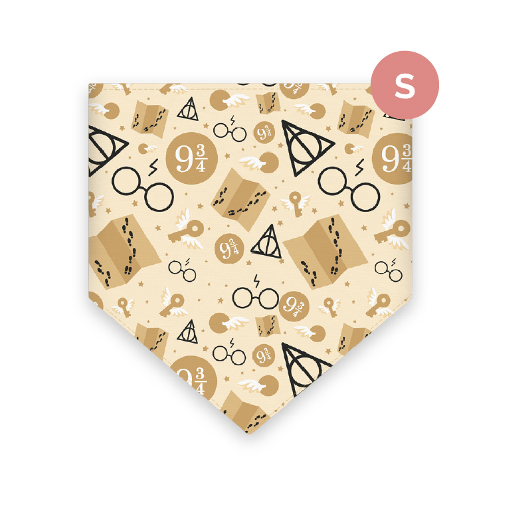 imageUrl_1 imageUrl_1