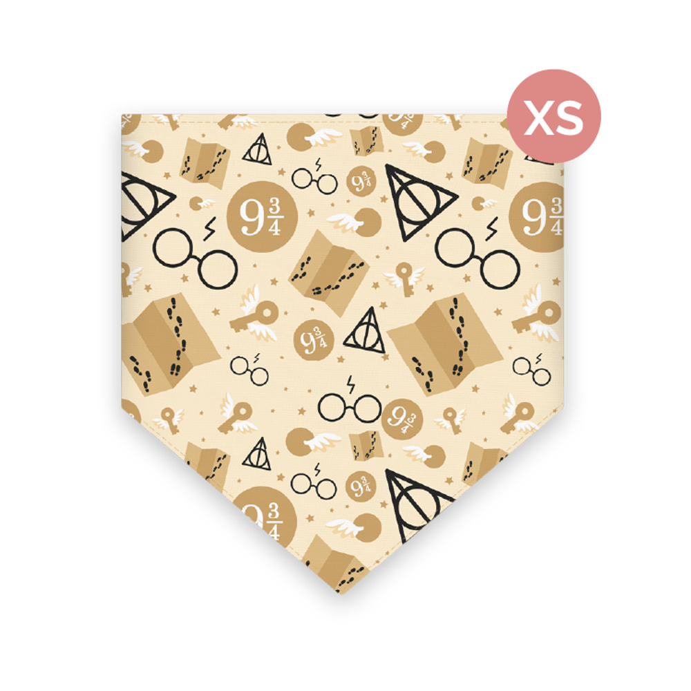 imageUrl_1 imageUrl_1