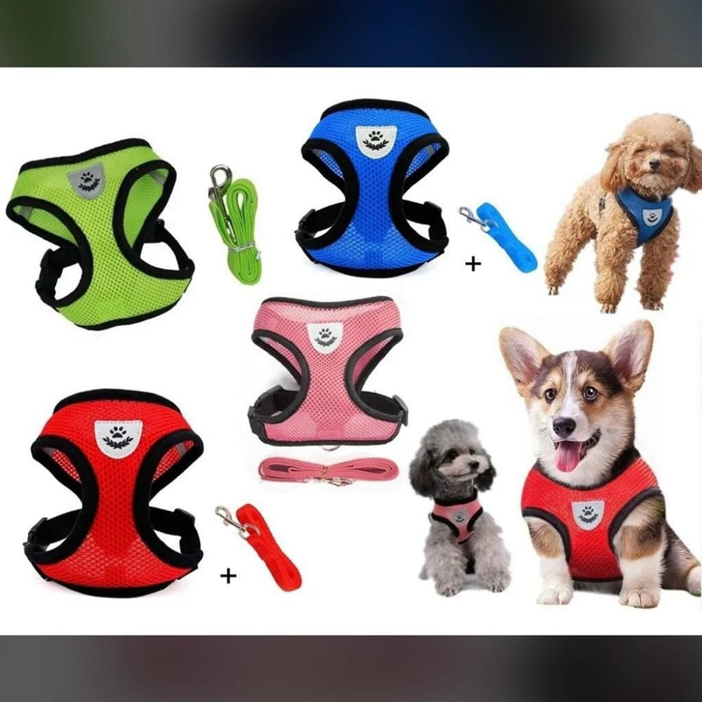 imageUrl_1 imageUrl_1