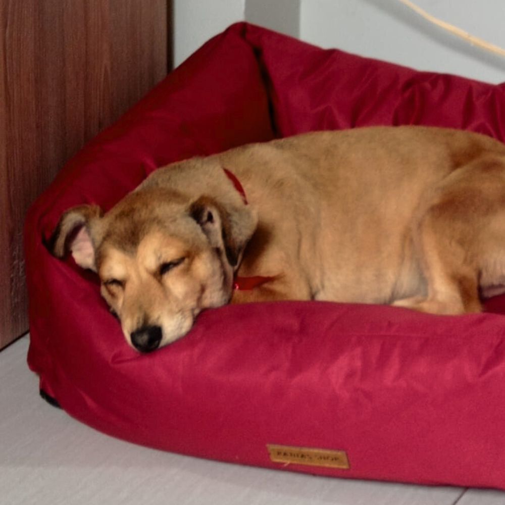 imageUrl_1 imageUrl_1