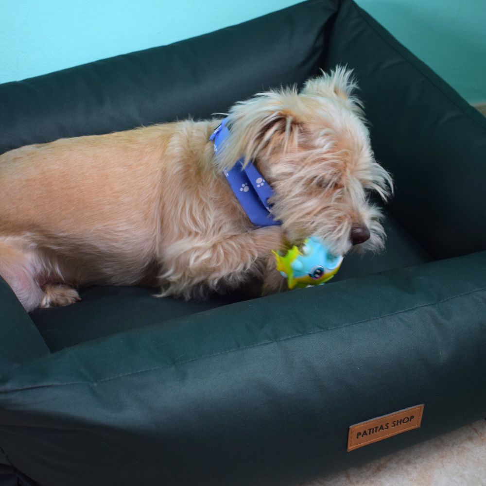 imageUrl_1 imageUrl_1