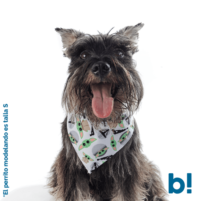 image-e2b09989bb45414bb5eed60b01001c82