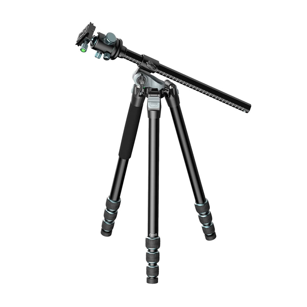 image-f1902057561c4e8cbc2277937adb597a image-f1902057561c4e8cbc2277937adb597a