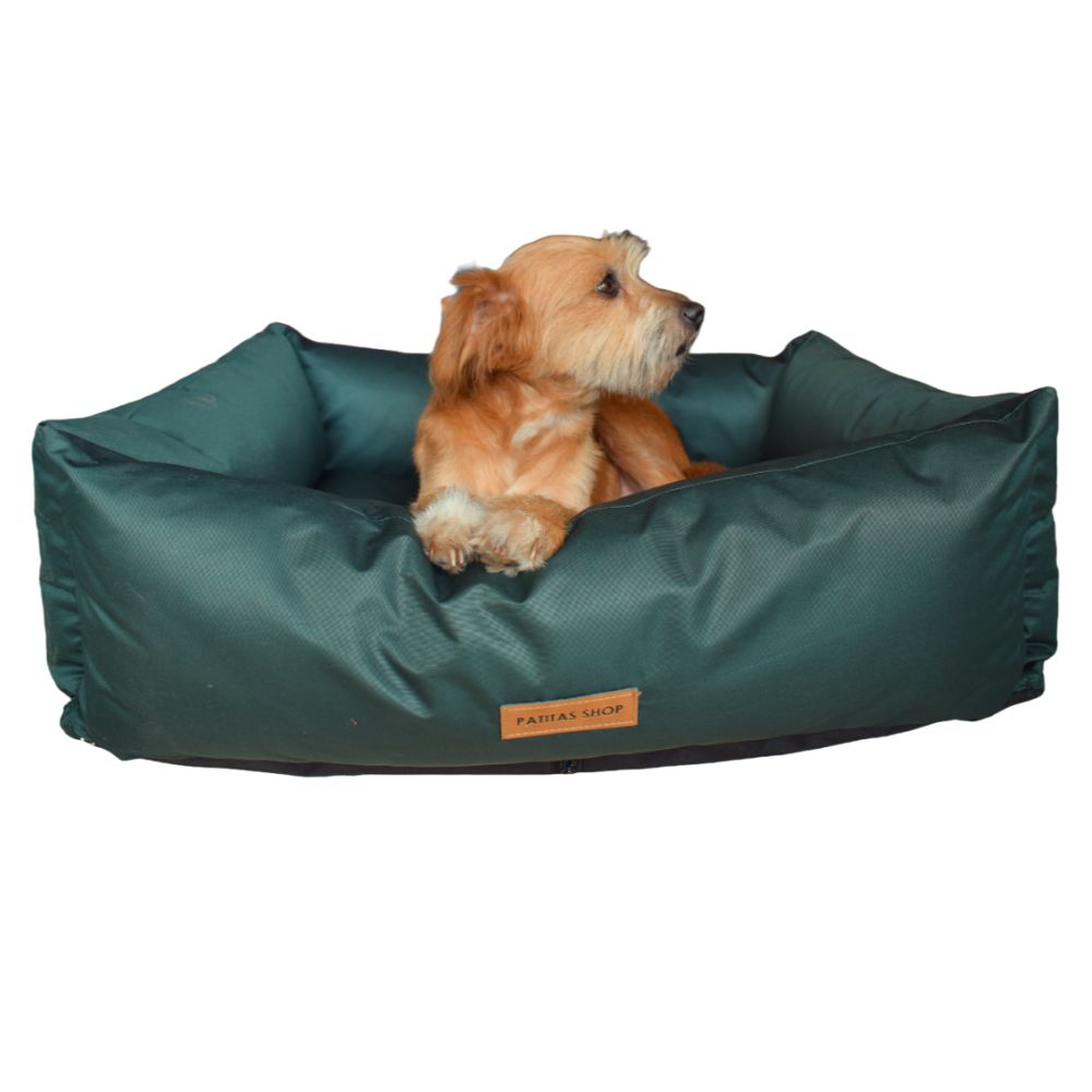 image-df3764db476447989b80fa5b2cbf7b35 image-df3764db476447989b80fa5b2cbf7b35