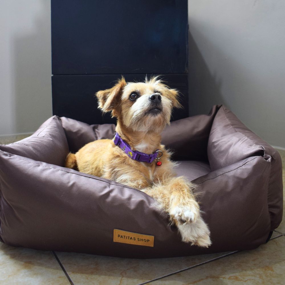 image-513cb451e8c541b09ec999eae97c71e3 image-513cb451e8c541b09ec999eae97c71e3