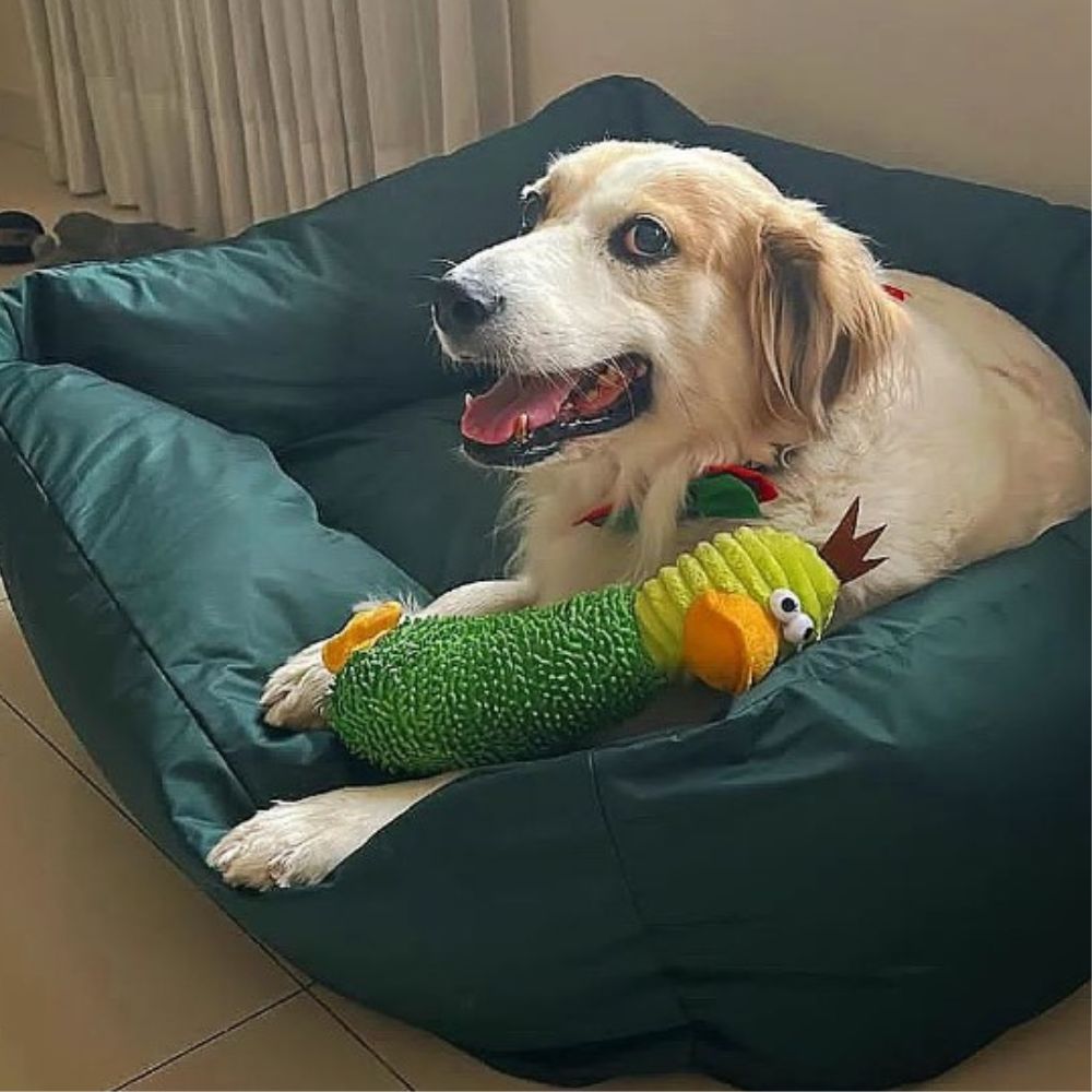 image-45fd6fd1811e4a42919d08702050a958 image-45fd6fd1811e4a42919d08702050a958