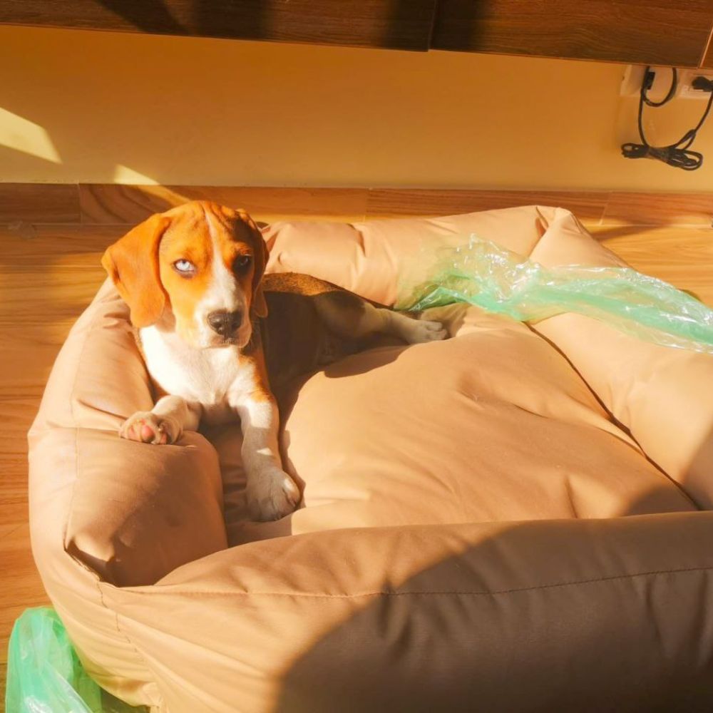 image-60b14aaa39f34f9da3a4070819fc0b92 image-60b14aaa39f34f9da3a4070819fc0b92