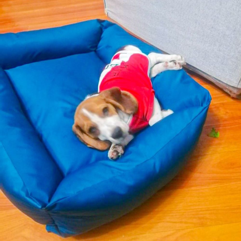 image-b8a403294c9640d298e0b2d8bfad771e image-b8a403294c9640d298e0b2d8bfad771e