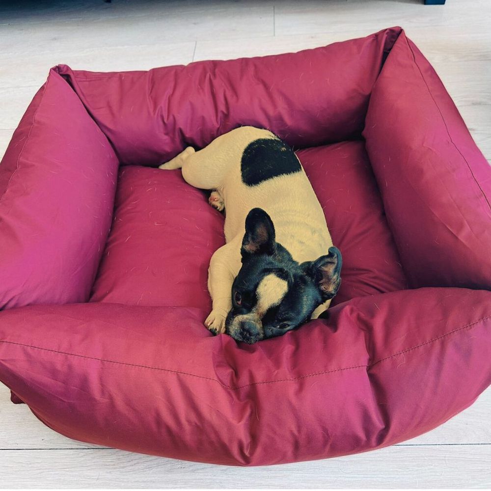 image-144d3e78c2614159966a534e274f31e7 image-144d3e78c2614159966a534e274f31e7