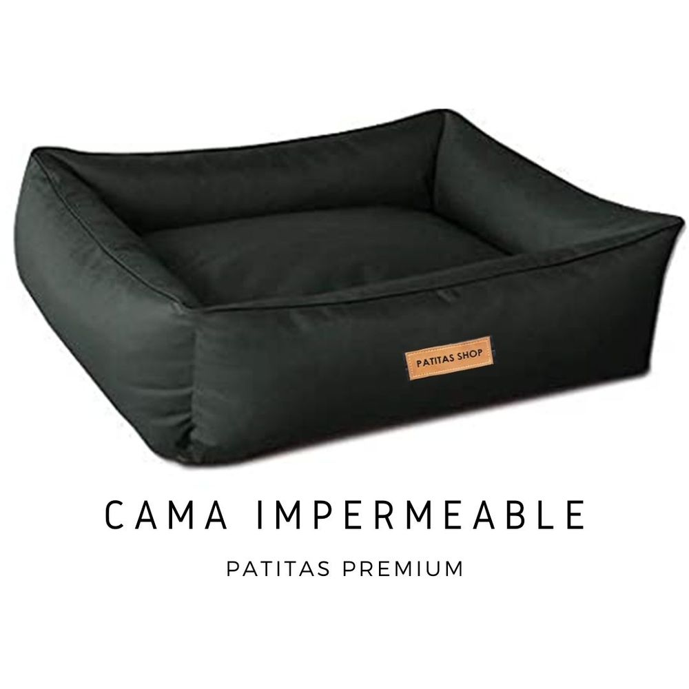 image-1342af692f9440a0893ecc30c676e705 image-1342af692f9440a0893ecc30c676e705