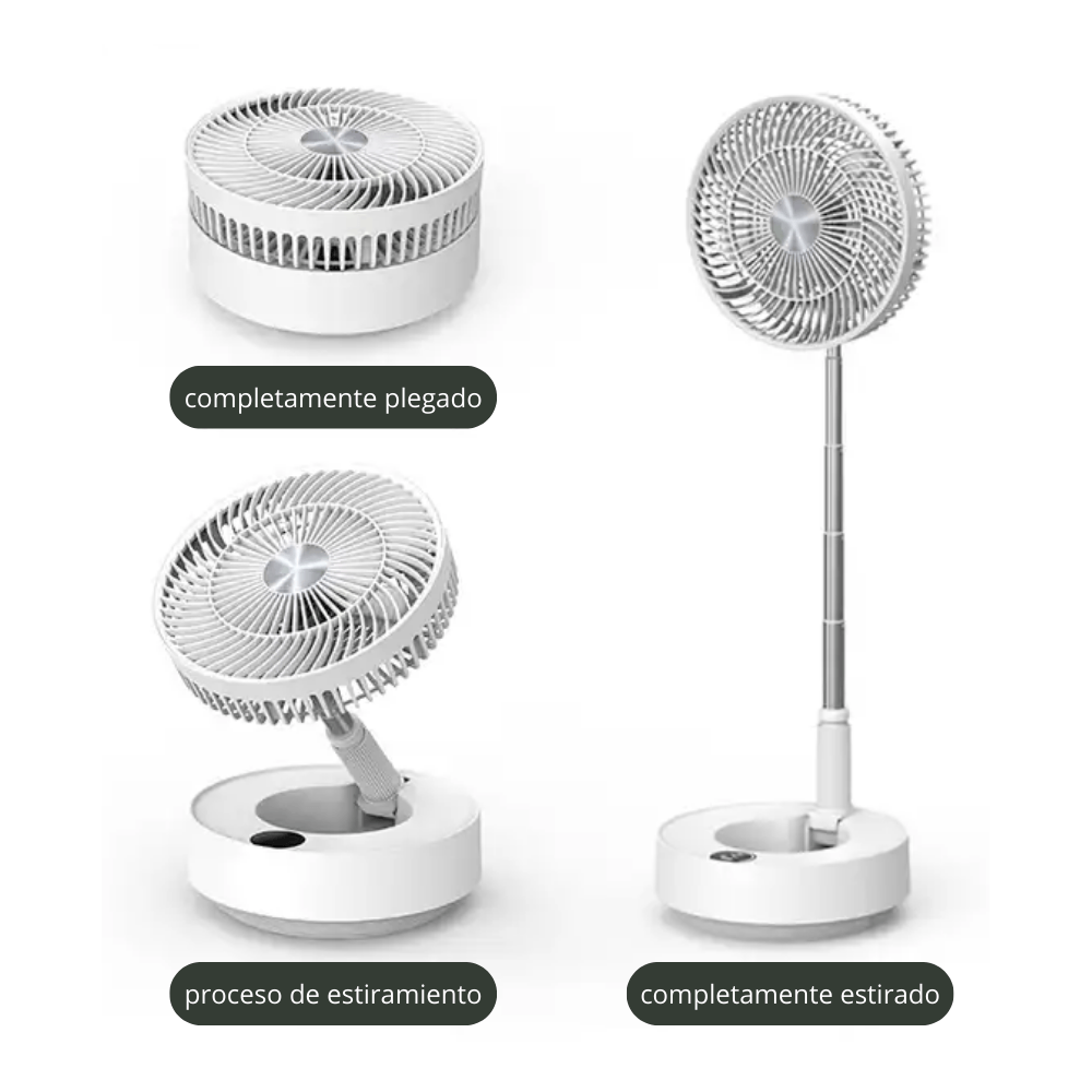 image-2c9cee05ac294d7980a0f341d43bc6ab image-2c9cee05ac294d7980a0f341d43bc6ab