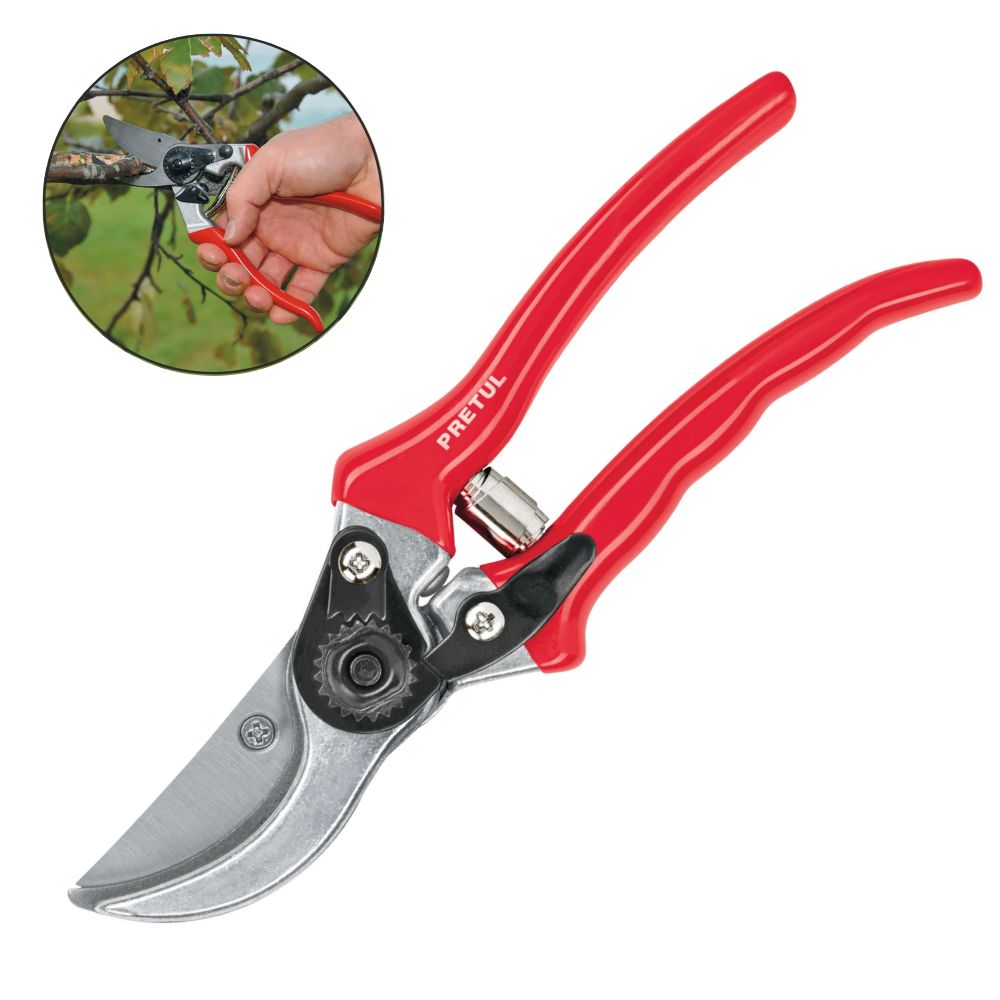 image-1c783fdb411d4a639272748d9a942f3f image-1c783fdb411d4a639272748d9a942f3f