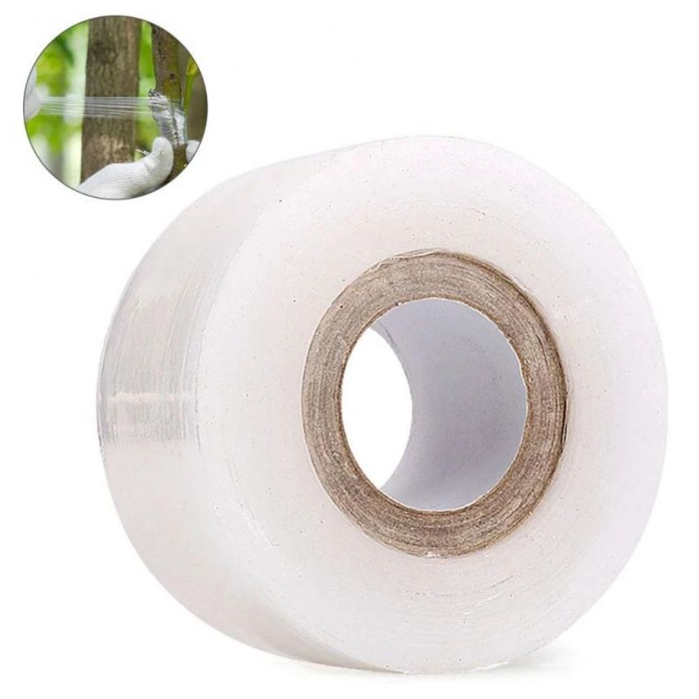 image-68e27bcbe35a46dd8c25f311ba9570d4 image-68e27bcbe35a46dd8c25f311ba9570d4