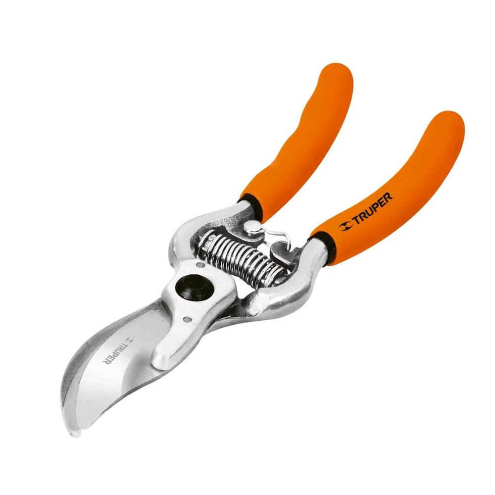 image-a9d5e06319684892bf0a4873a1178530 image-a9d5e06319684892bf0a4873a1178530