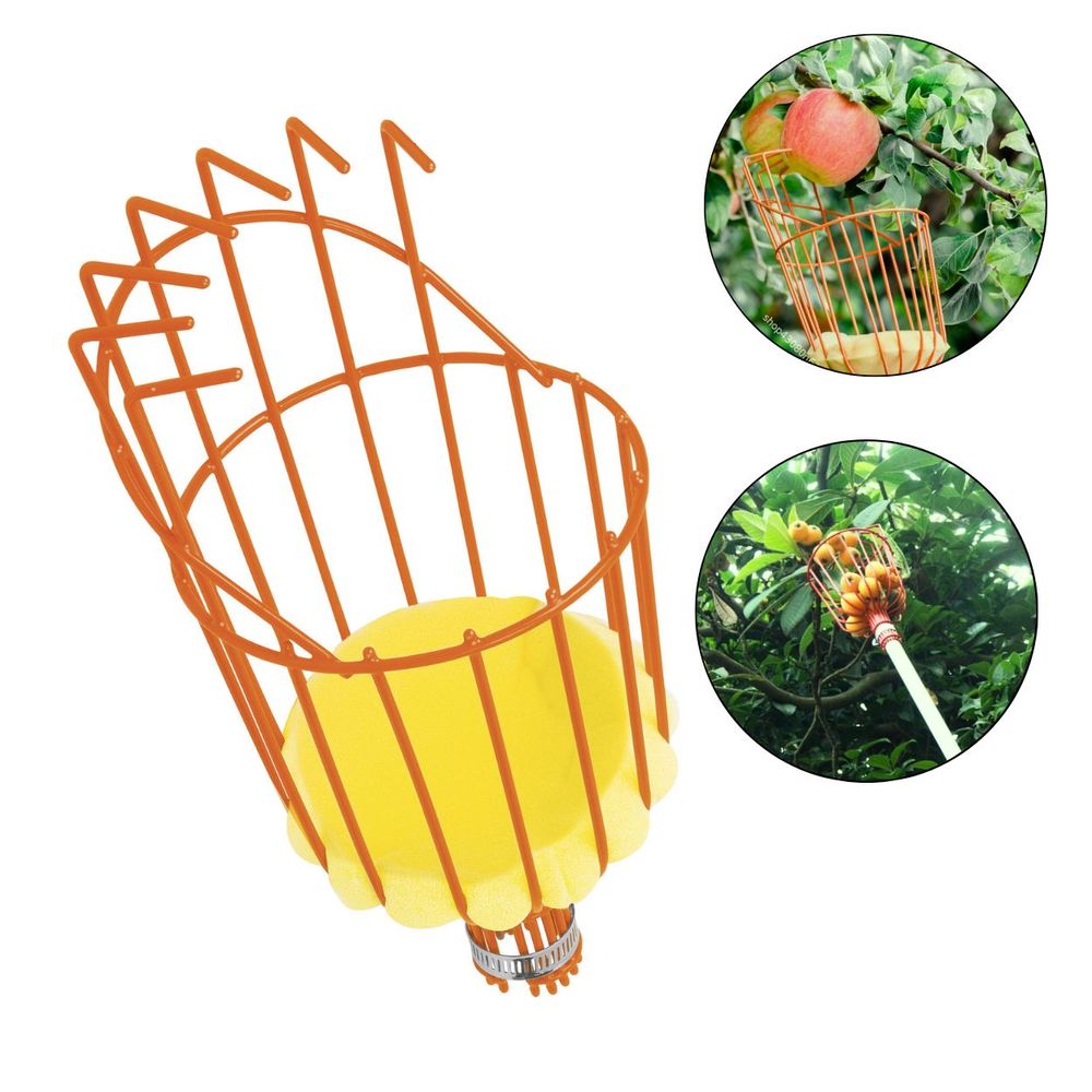 image-810ab7d9267a4c66a51b99b3d52ee186 image-810ab7d9267a4c66a51b99b3d52ee186