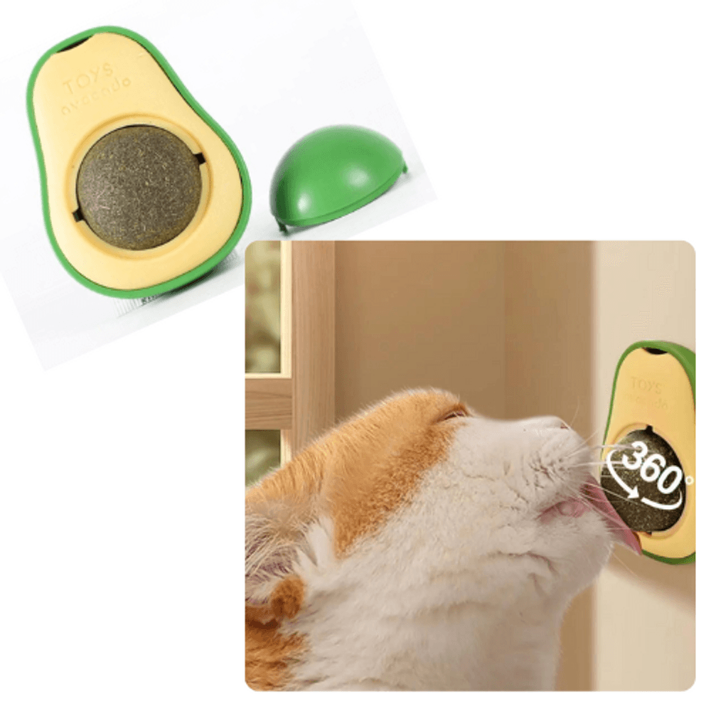 image-39b6b37b4d6c4ce5b21bcfd9dd75a6e3 image-39b6b37b4d6c4ce5b21bcfd9dd75a6e3