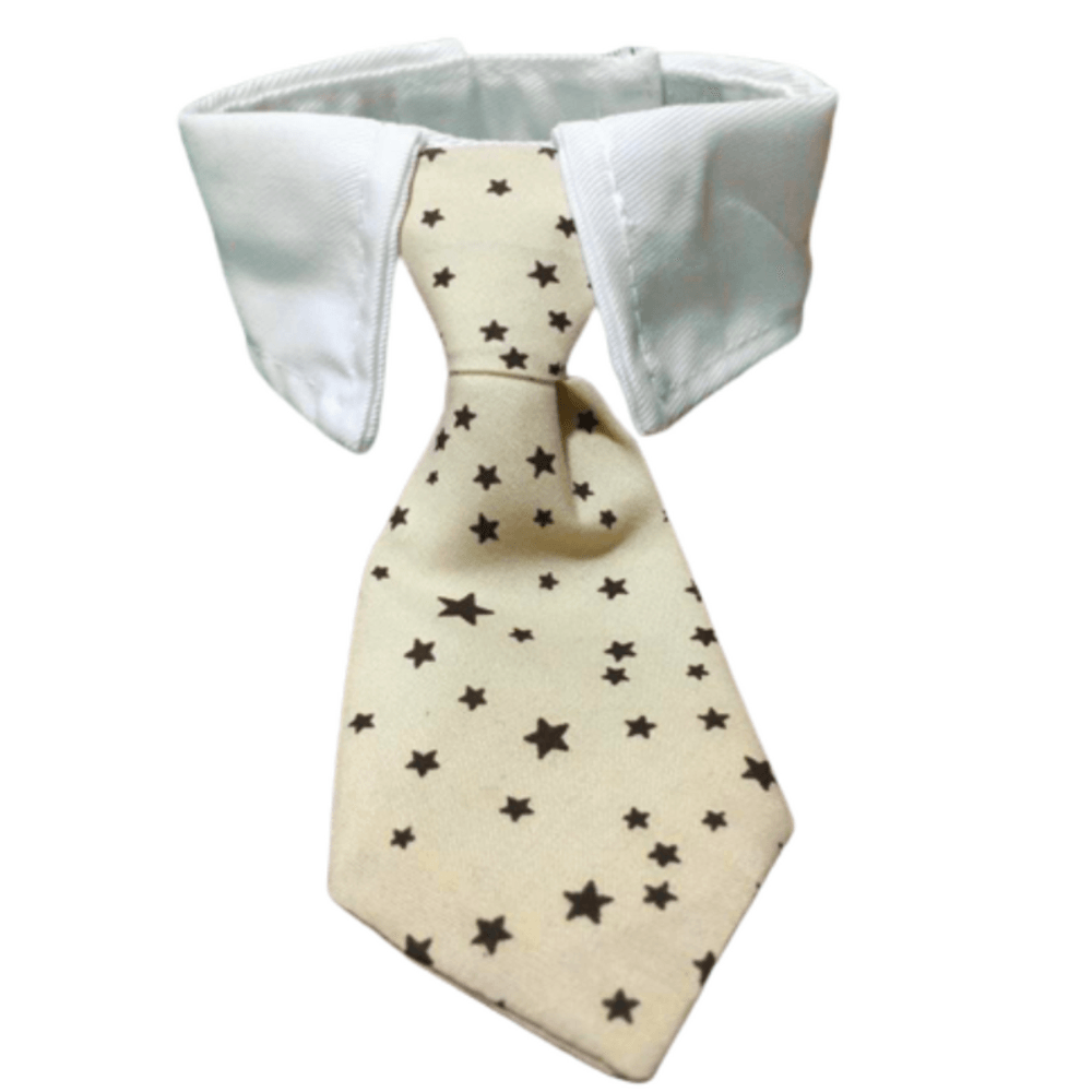 image-c9df4e8e24b34454a75e33ba52dc63b5 image-c9df4e8e24b34454a75e33ba52dc63b5