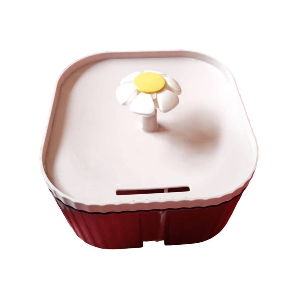 imageUrl_1 imageUrl_1