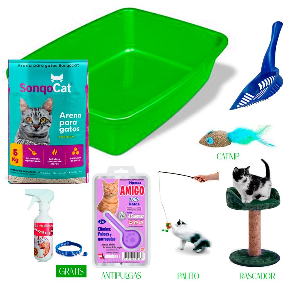 Mi Cama Mi Gato Se Caga Al Lado Del Arenero Mi Gato Se Caga Al Lado