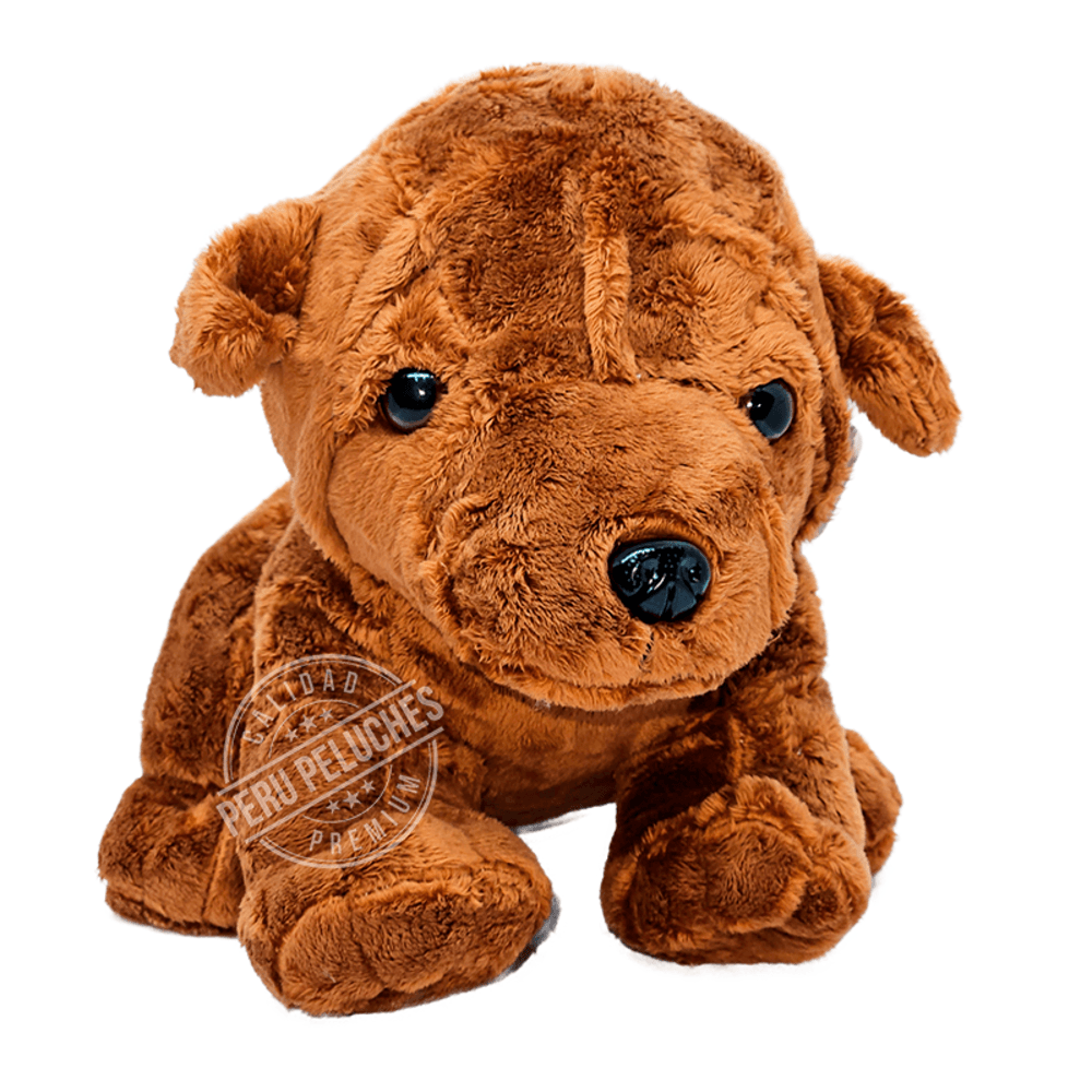 imageUrl_1 imageUrl_1