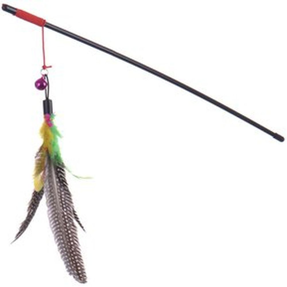 imageUrl_1 imageUrl_1