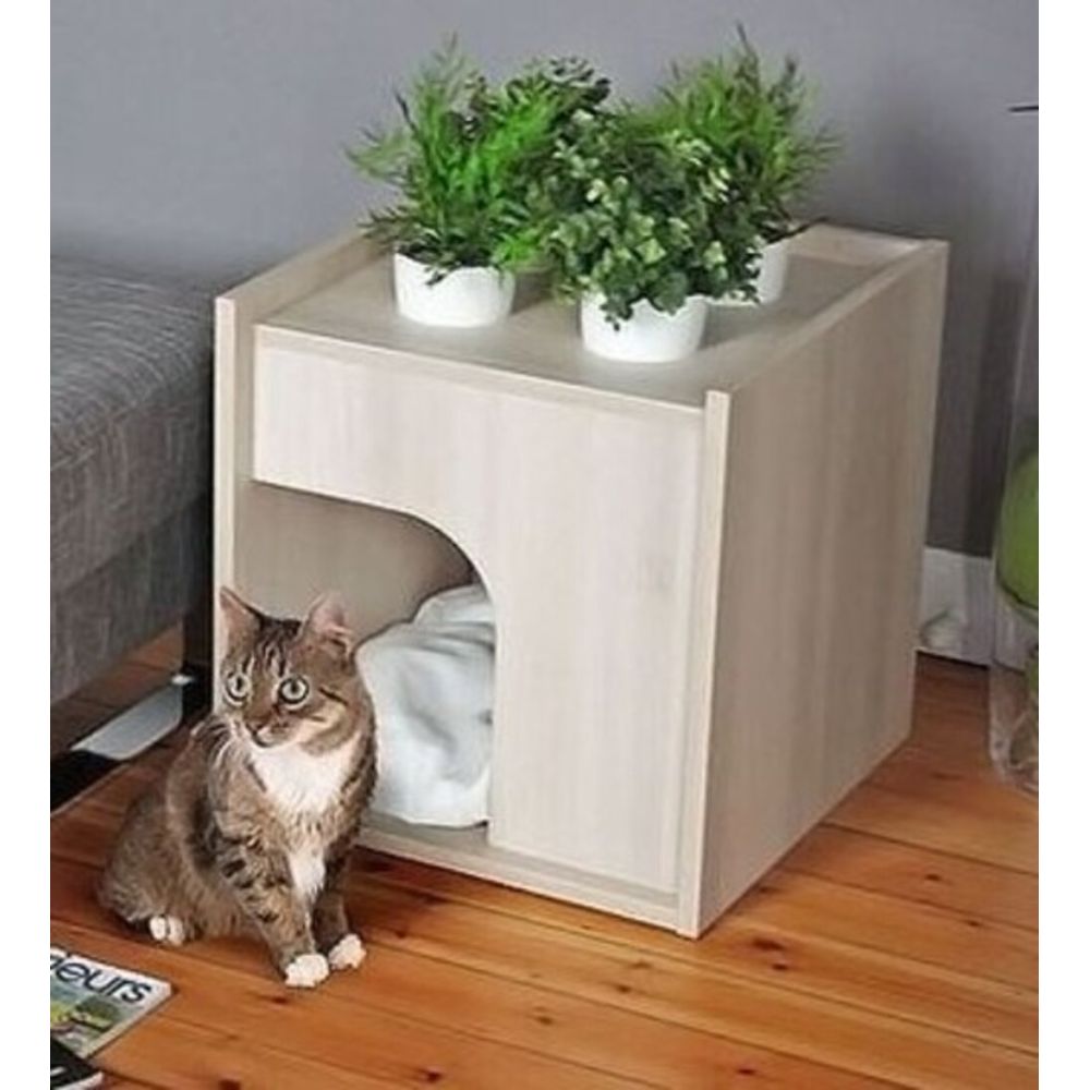 image-b04f367a5f3540fbb217c6c520af1c4f image-b04f367a5f3540fbb217c6c520af1c4f