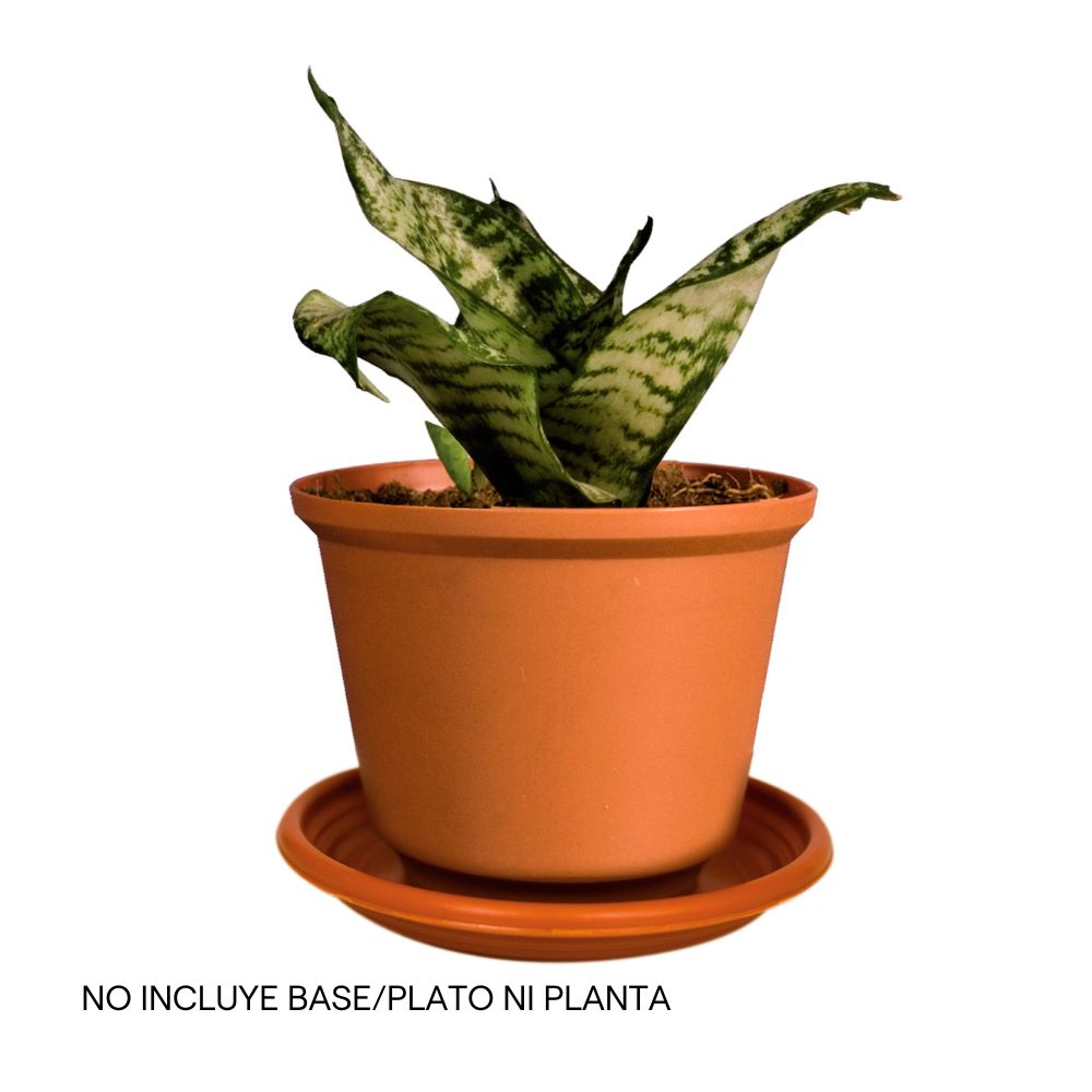 Maceta Tulipán 8.5x10.5cm