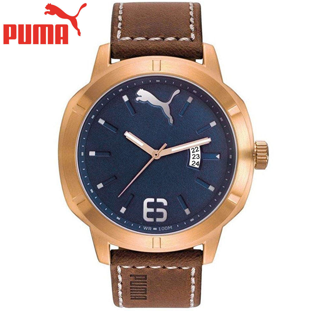 Reloj Nevermind PU104261001 Hombre Acero Inoxidable Dorado Bronce