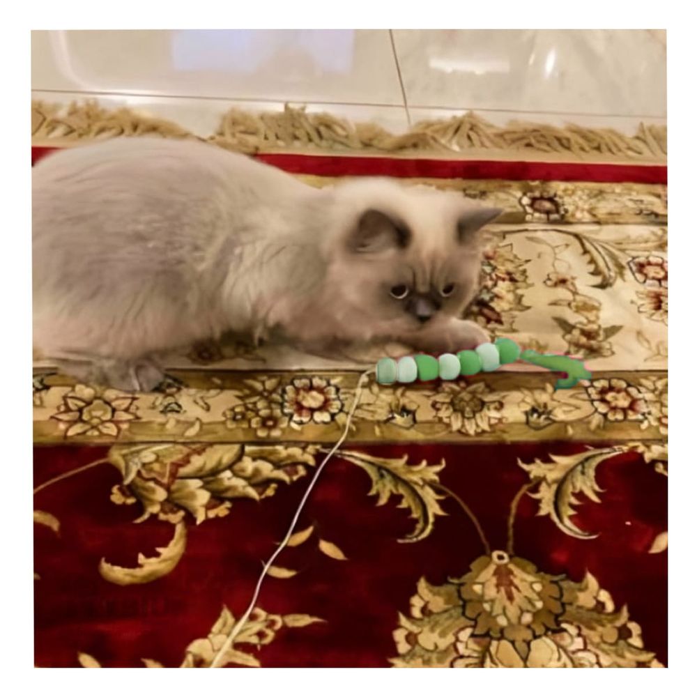 imageUrl_1 imageUrl_1