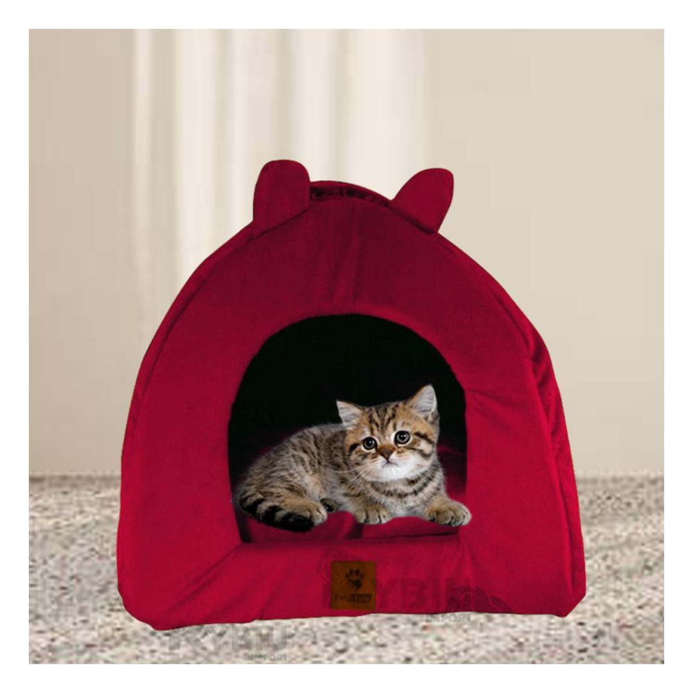 imageUrl_1 imageUrl_1