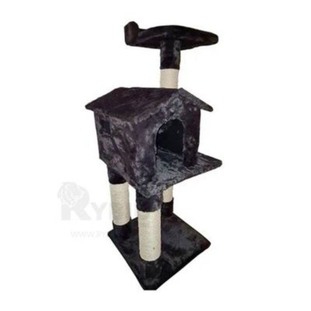 imageUrl_1 imageUrl_1