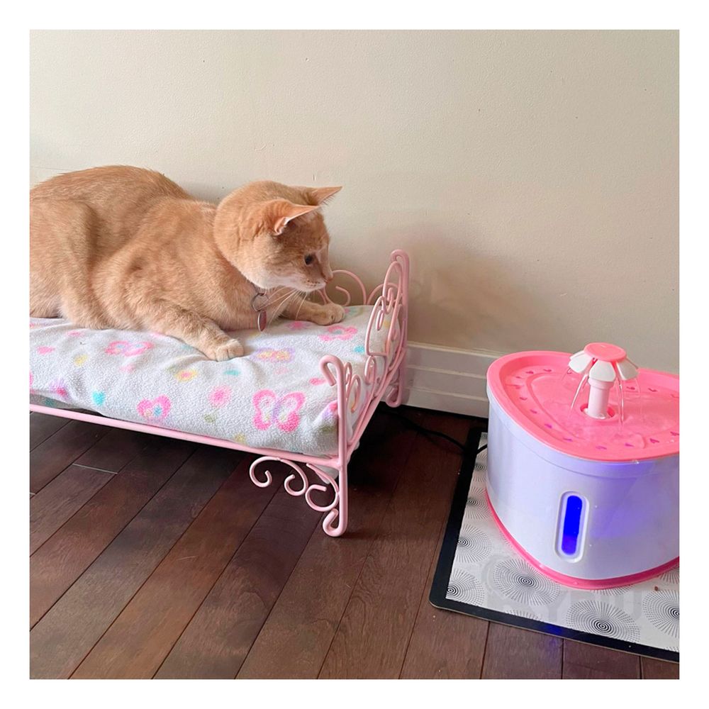 imageUrl_1 imageUrl_1