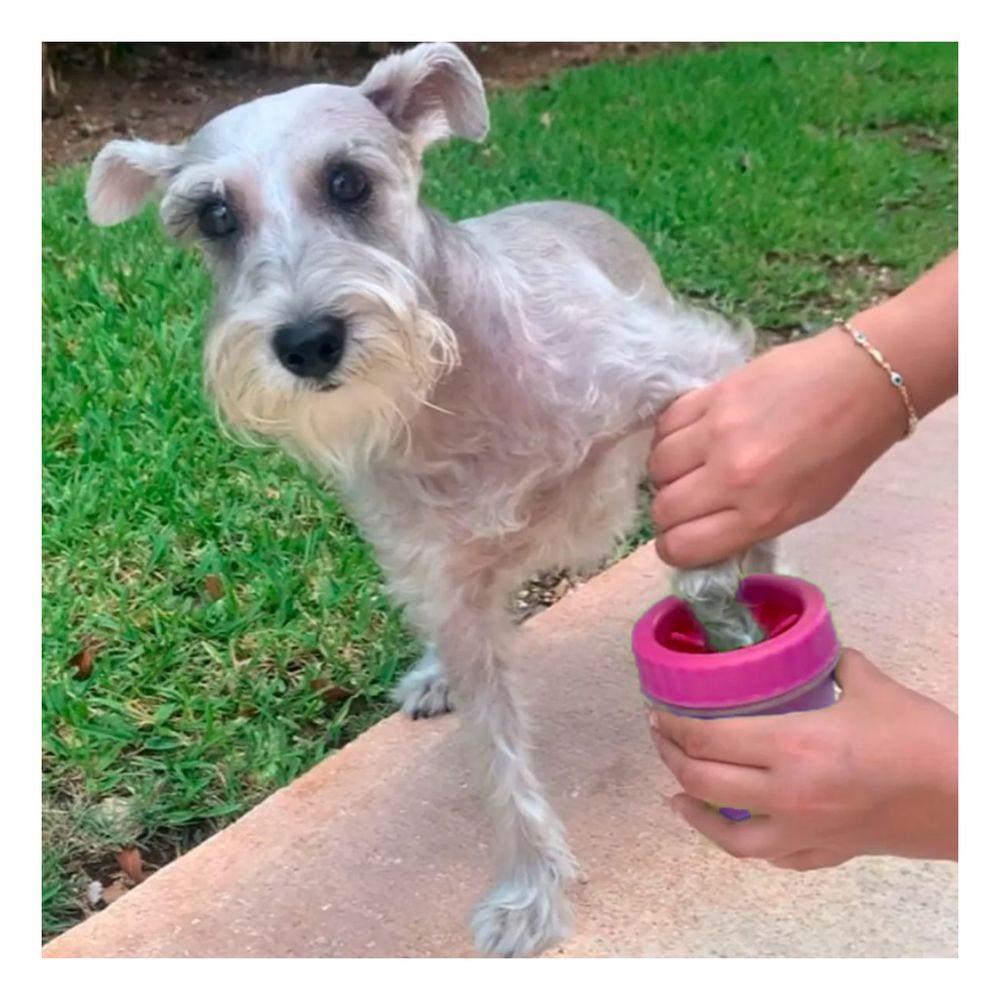 imageUrl_1 imageUrl_1