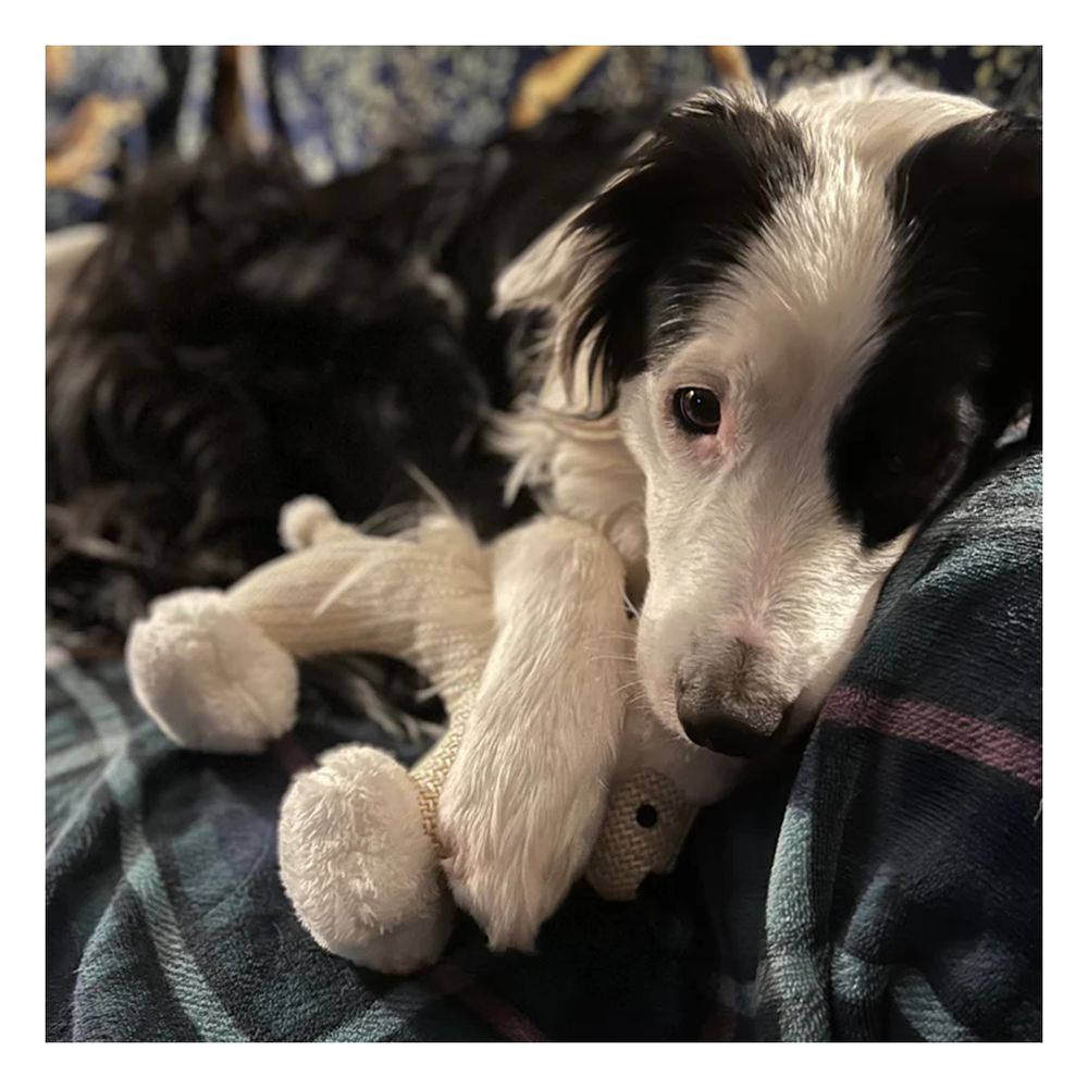 imageUrl_1 imageUrl_1