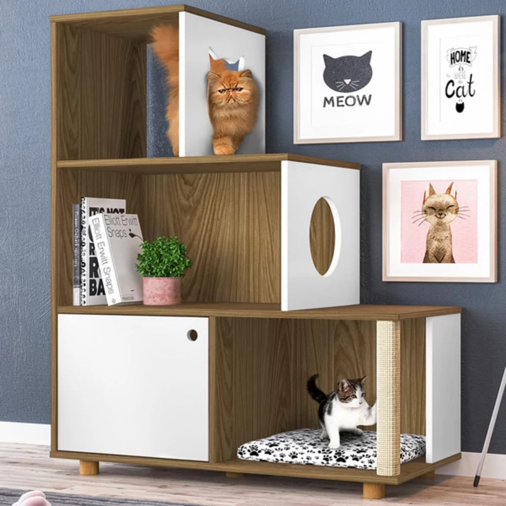 image-dcf61813e91044bc8d267042f34f7af7 image-dcf61813e91044bc8d267042f34f7af7