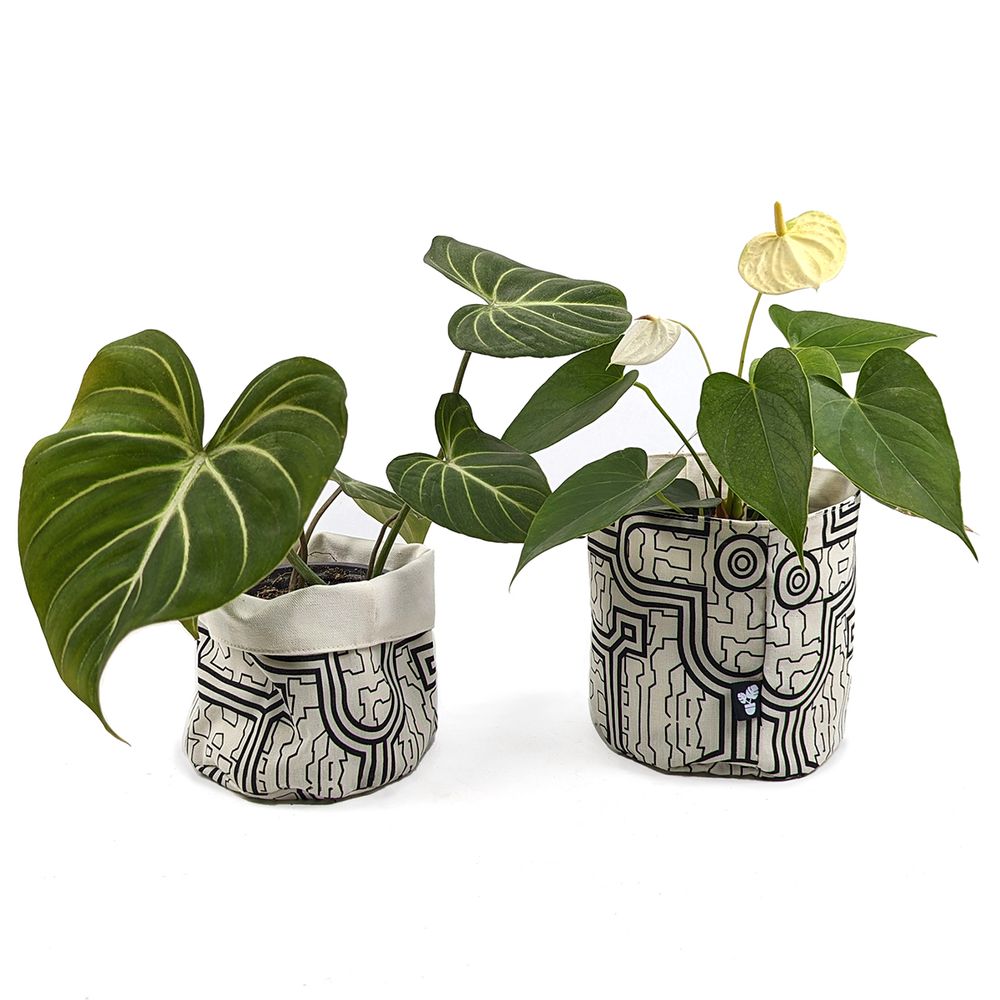 image-bee539f1c7ca44fb8c9bd05db0028905 image-bee539f1c7ca44fb8c9bd05db0028905