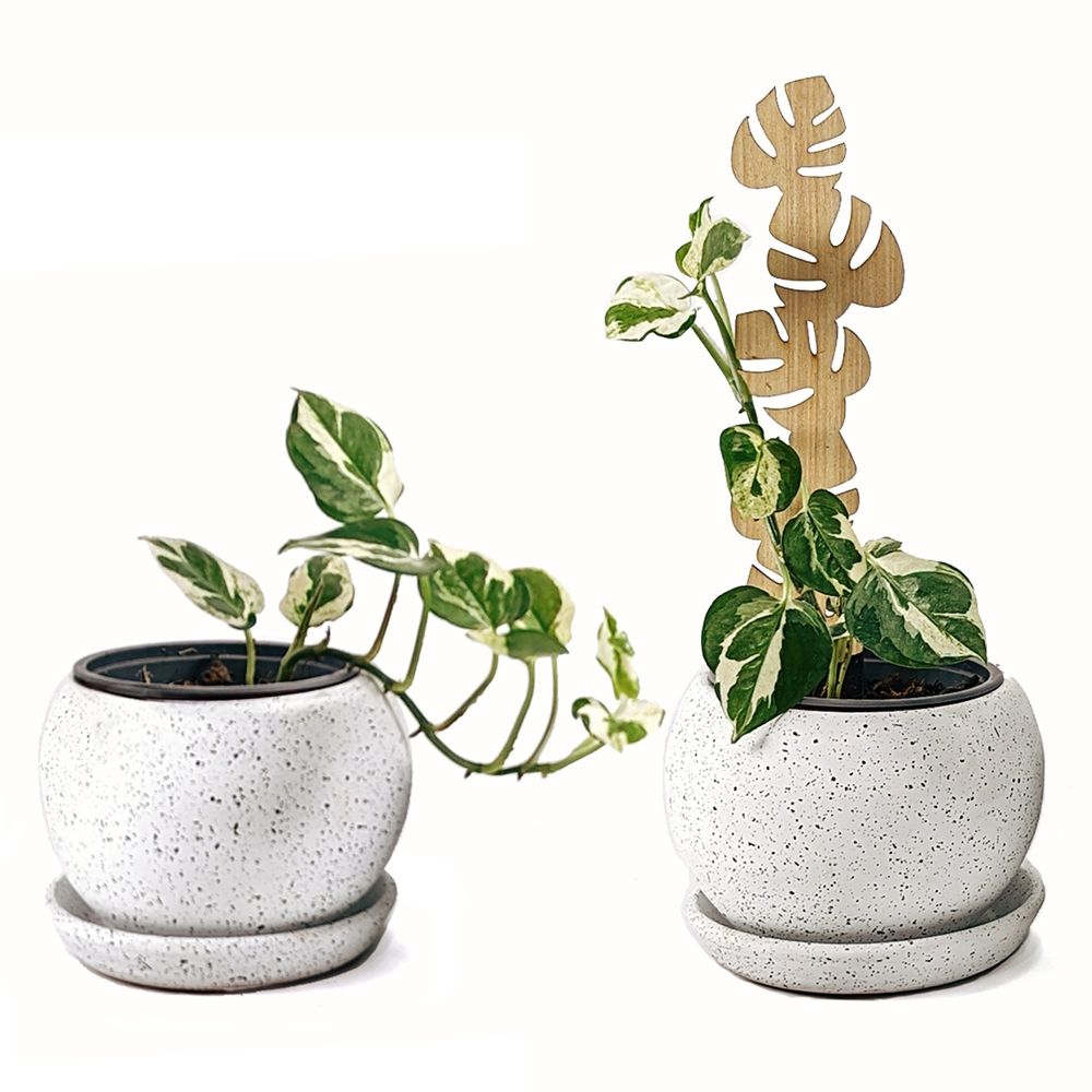 image-d8cfbd49d2cf45628a9c6b86a776b2ca image-d8cfbd49d2cf45628a9c6b86a776b2ca