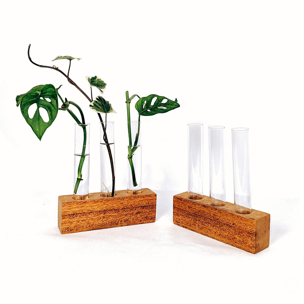 Propagador Triple de madera para plantas Un Cuarto Verde