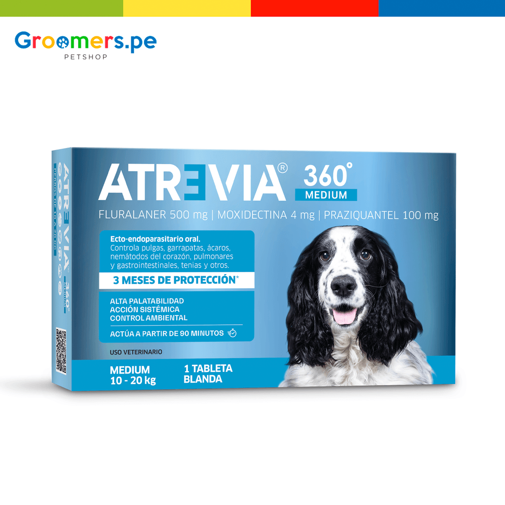 image-a9ee0587f11943bcb40952bfda3c5525 image-a9ee0587f11943bcb40952bfda3c5525