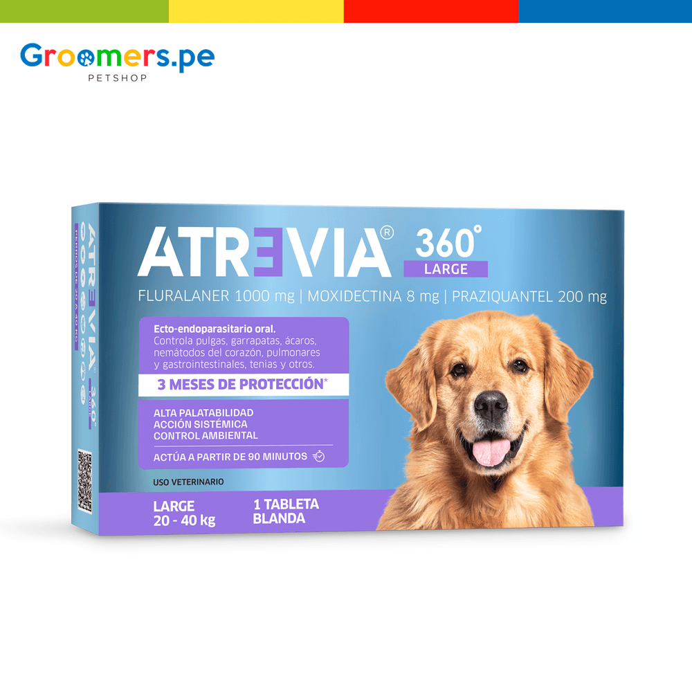 image-be591c48632545d98eda8f257cc32fd8 image-be591c48632545d98eda8f257cc32fd8