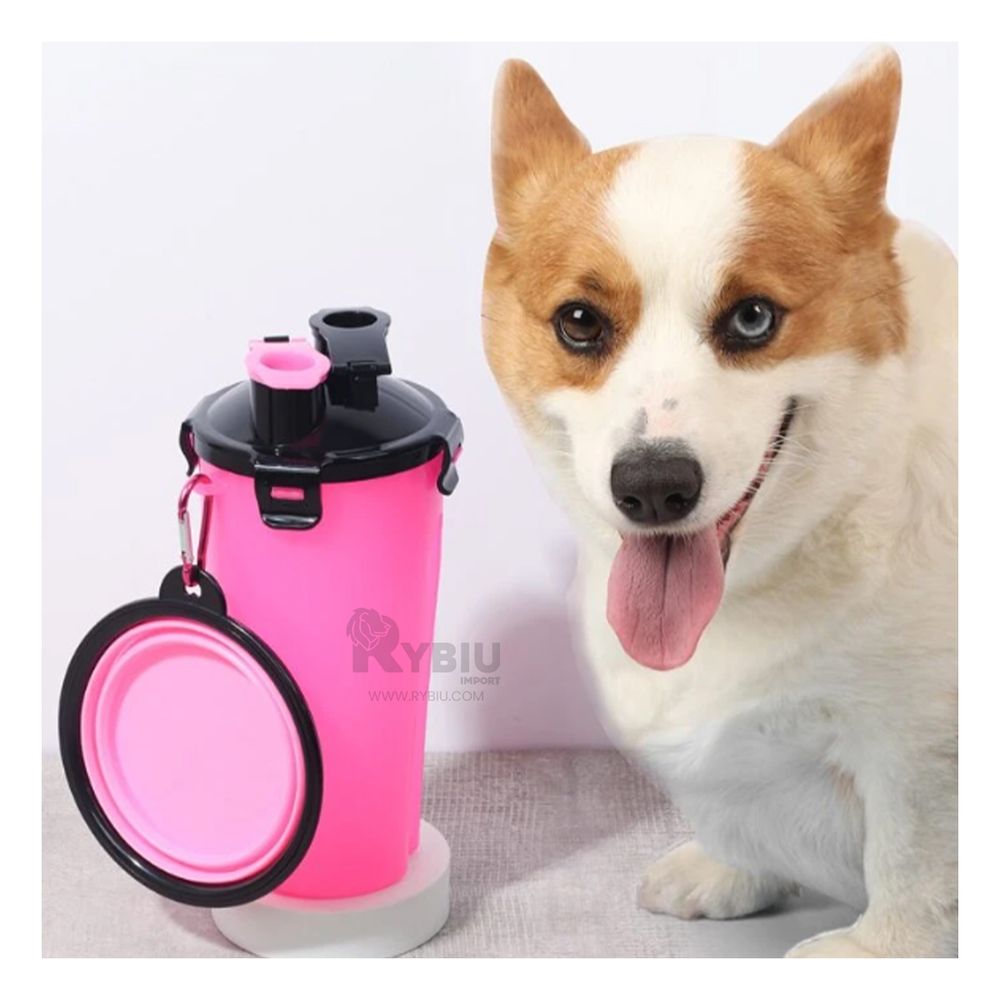 imageUrl_1 imageUrl_1