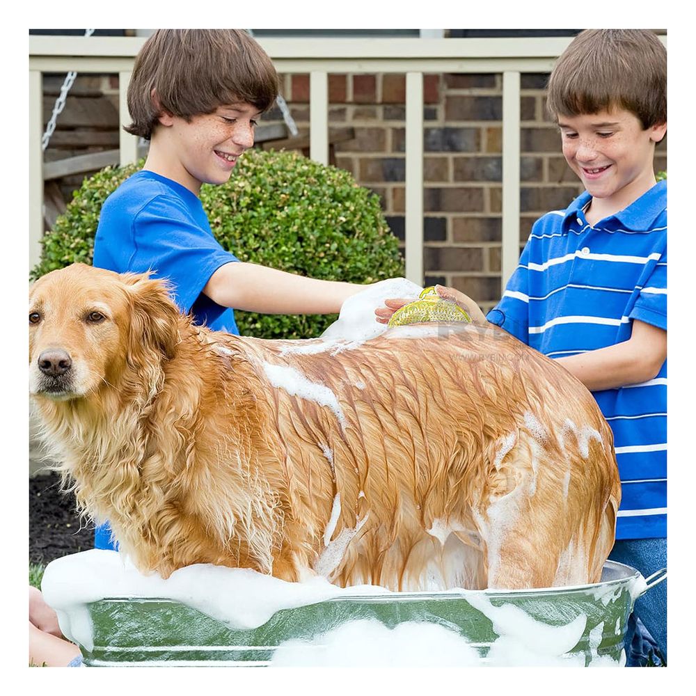 Peine Practica y Confiable en Amarillo Y+Agendita