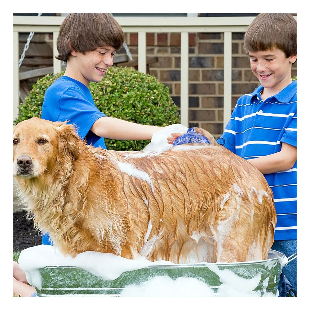 Peine Oval para Mano Util en Celeste Y+Papel de Regalo