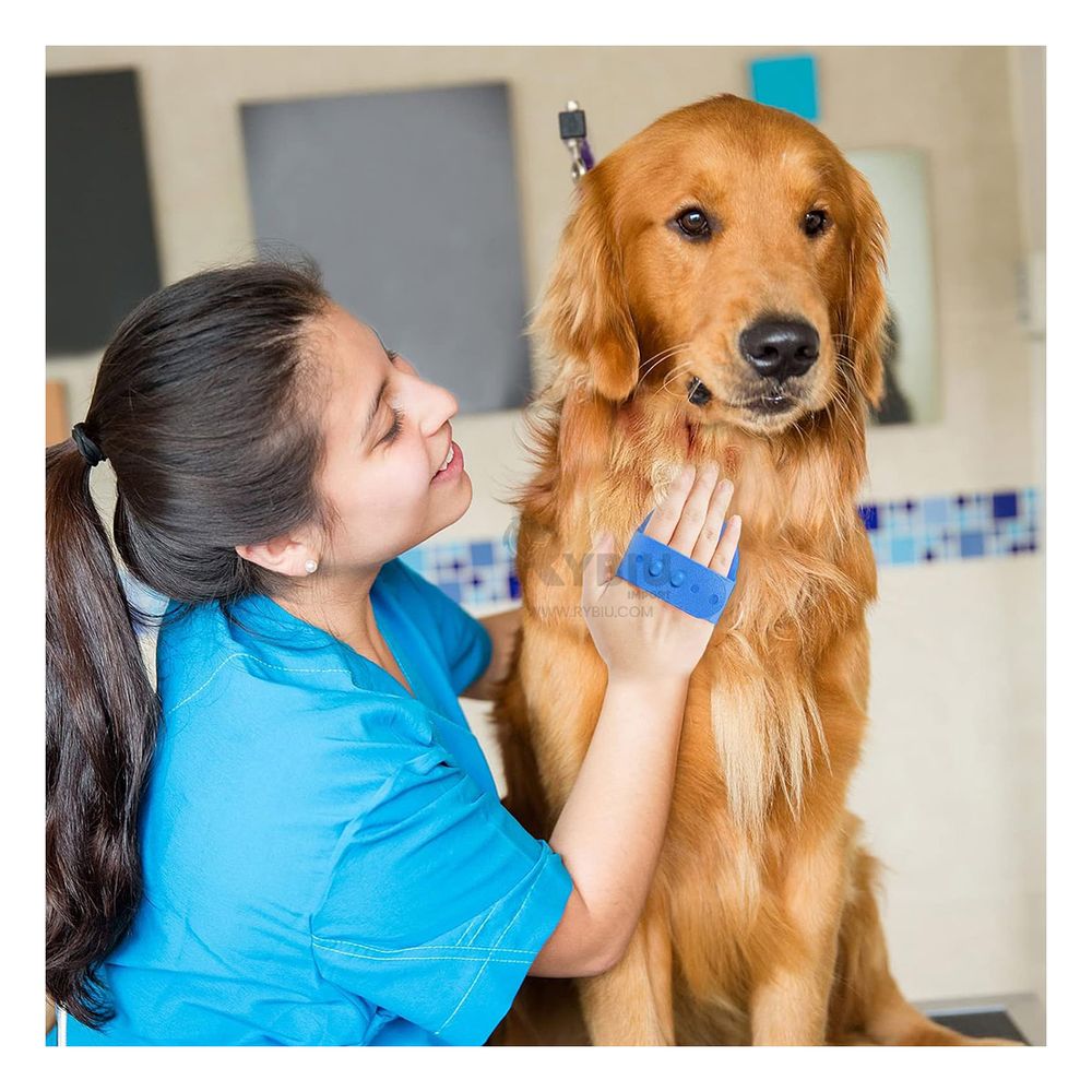 Peine Practico y Confiable en Celeste Y+Agendita